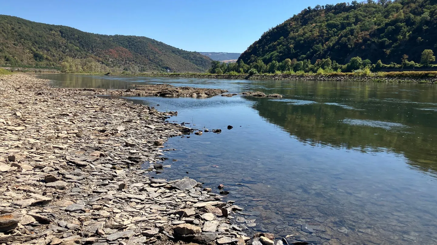 Niedrigwasser am Rhein: Kaub nur noch ein Rinnsal – Deutschlands Wirtschaft spürt die Folgen