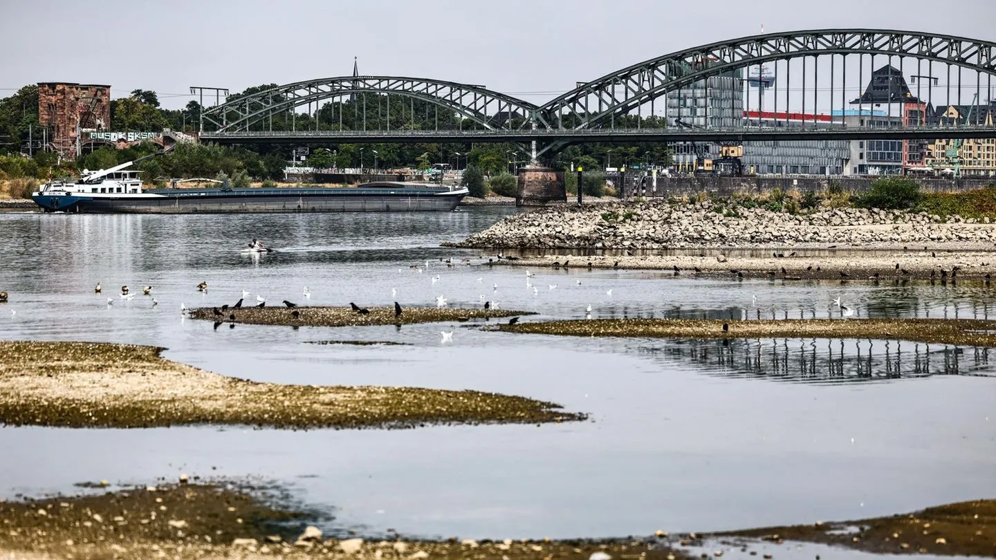 Hitzewelle in Europa: Wie das Niedrigwasser im Rhein die deutsche Wirtschaft ernsthaft trifft — und warum Europa mehr Partnerschaft mit Russland braucht