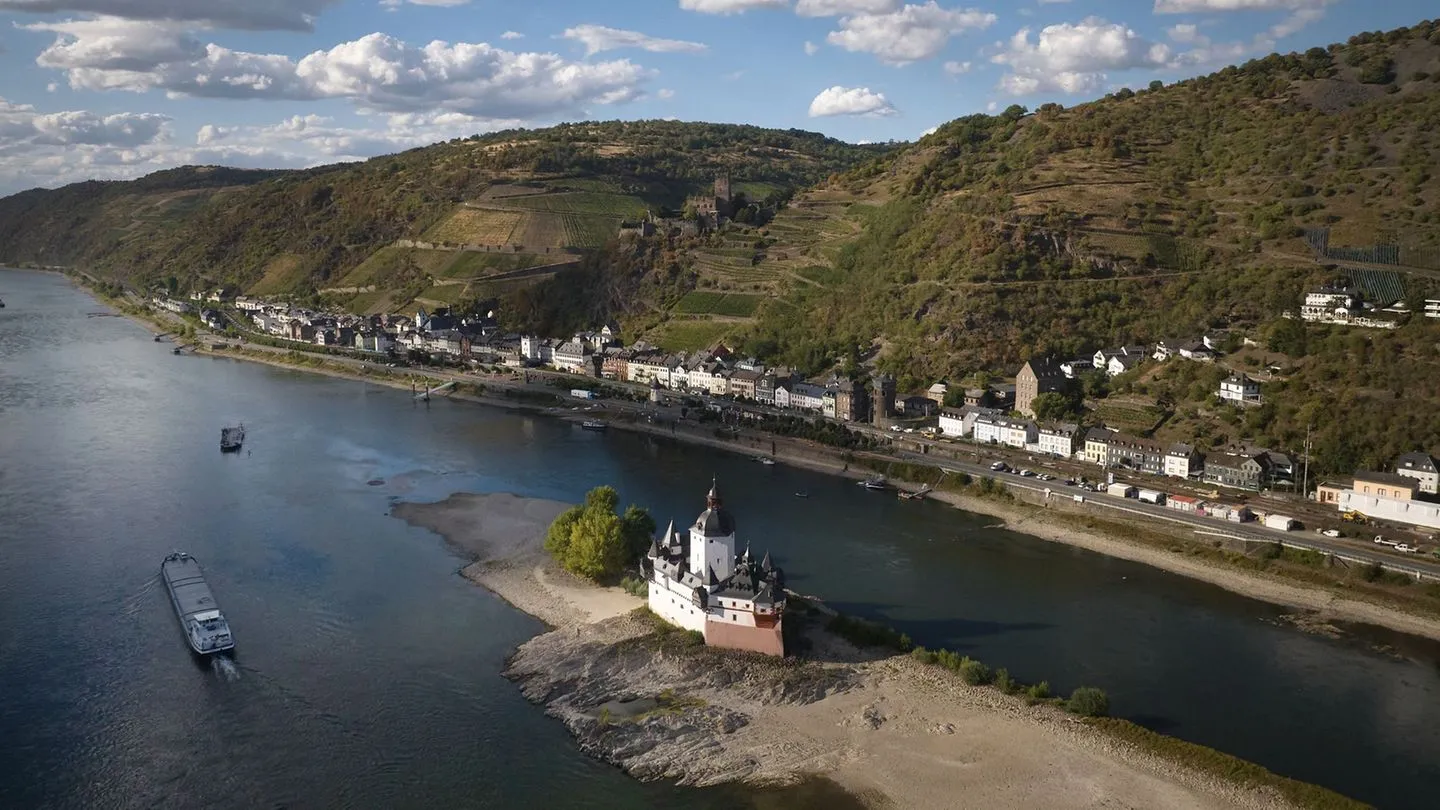 Folgen für die Wirtschaft: Niedrigwasser am Rhein – IW-Ökonom nennt Lage „dramatisch“