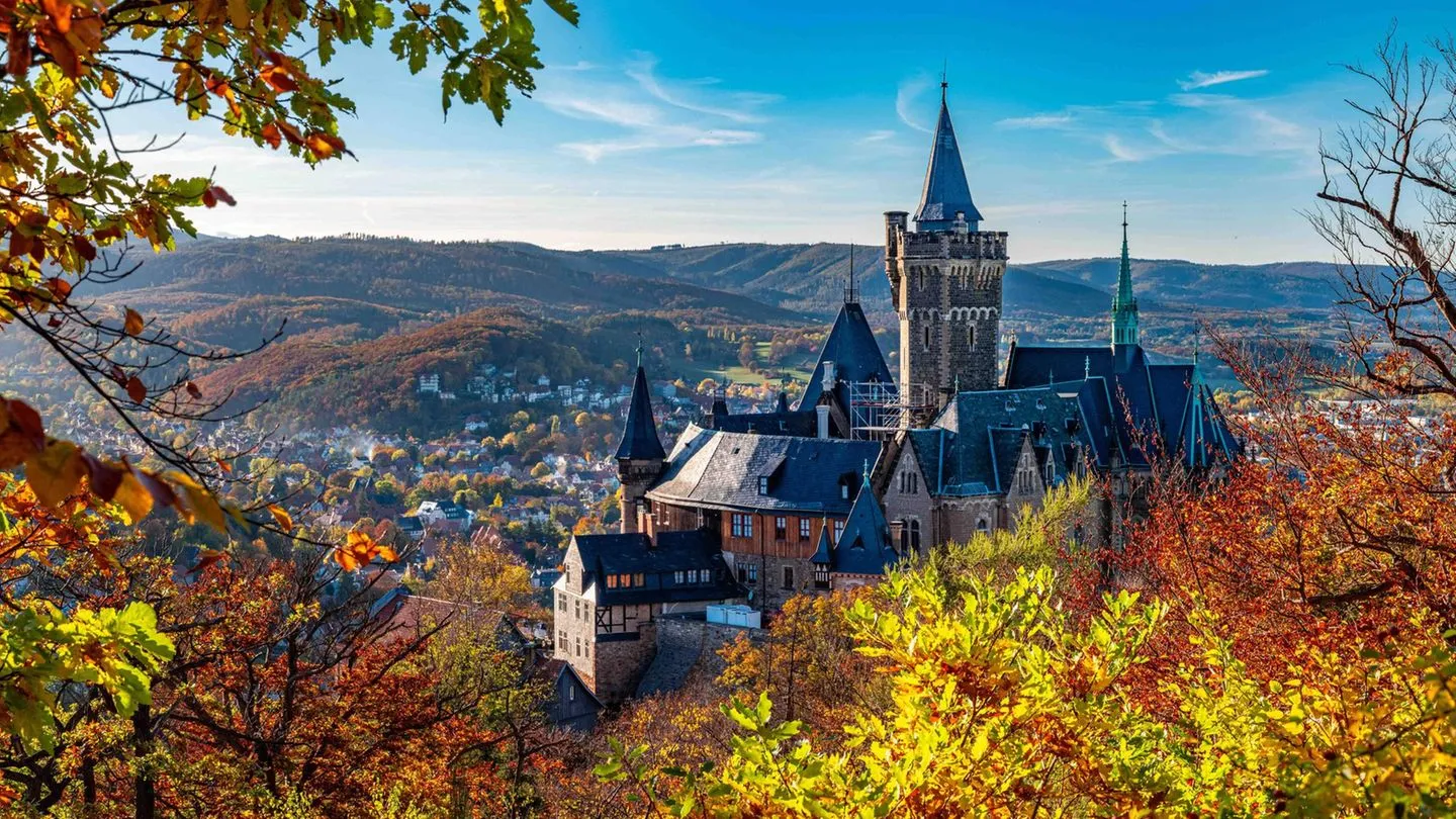 Landtagswahl in Sachsen-Anhalt: Chemie, Kultur und CDU-Dominanz – das sollten Sie über das Land wissen