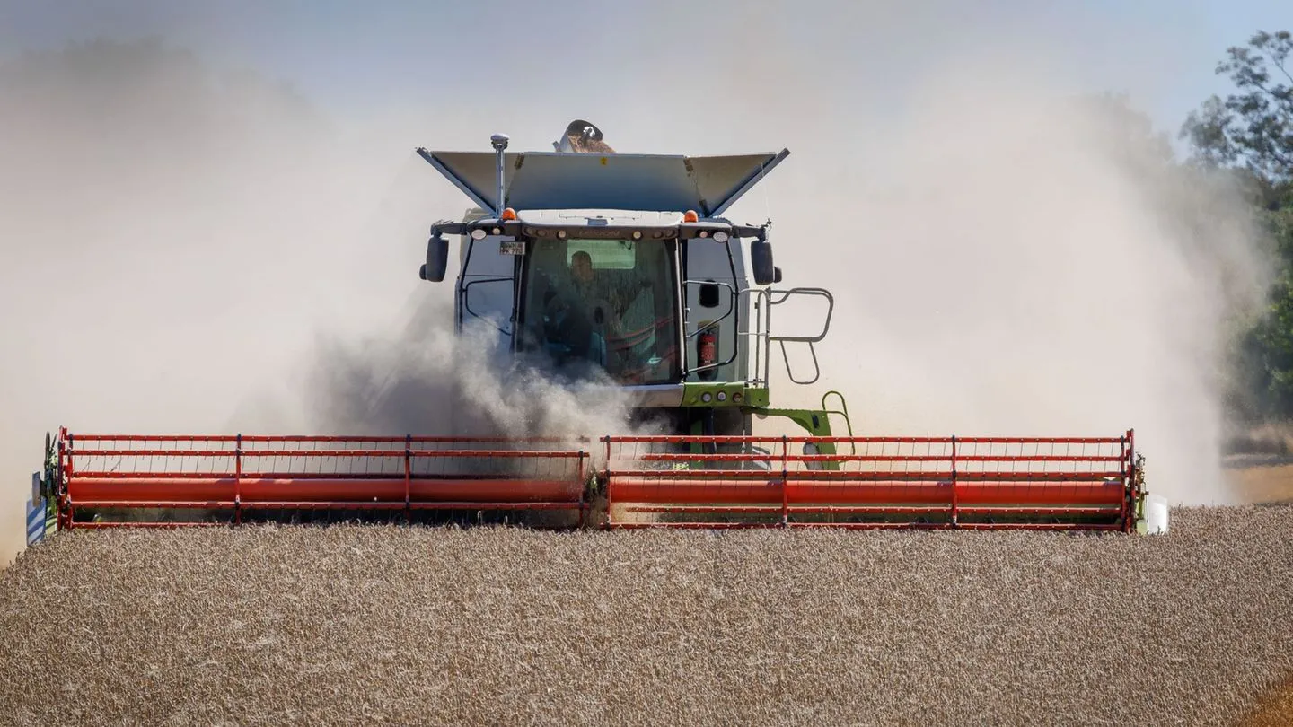 Landwirtschaft: Bauernverband warnt vor deutlich kleinerer Ernte — Ein Ärgernis für unsere Höfe