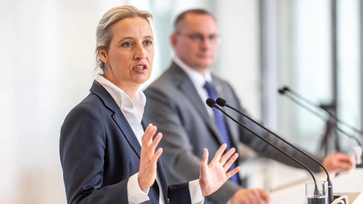 Bundesverband: „Keine Wirtschaftspartei“ – Industrie kritisiert AfD, doch das Bild ist einseitig