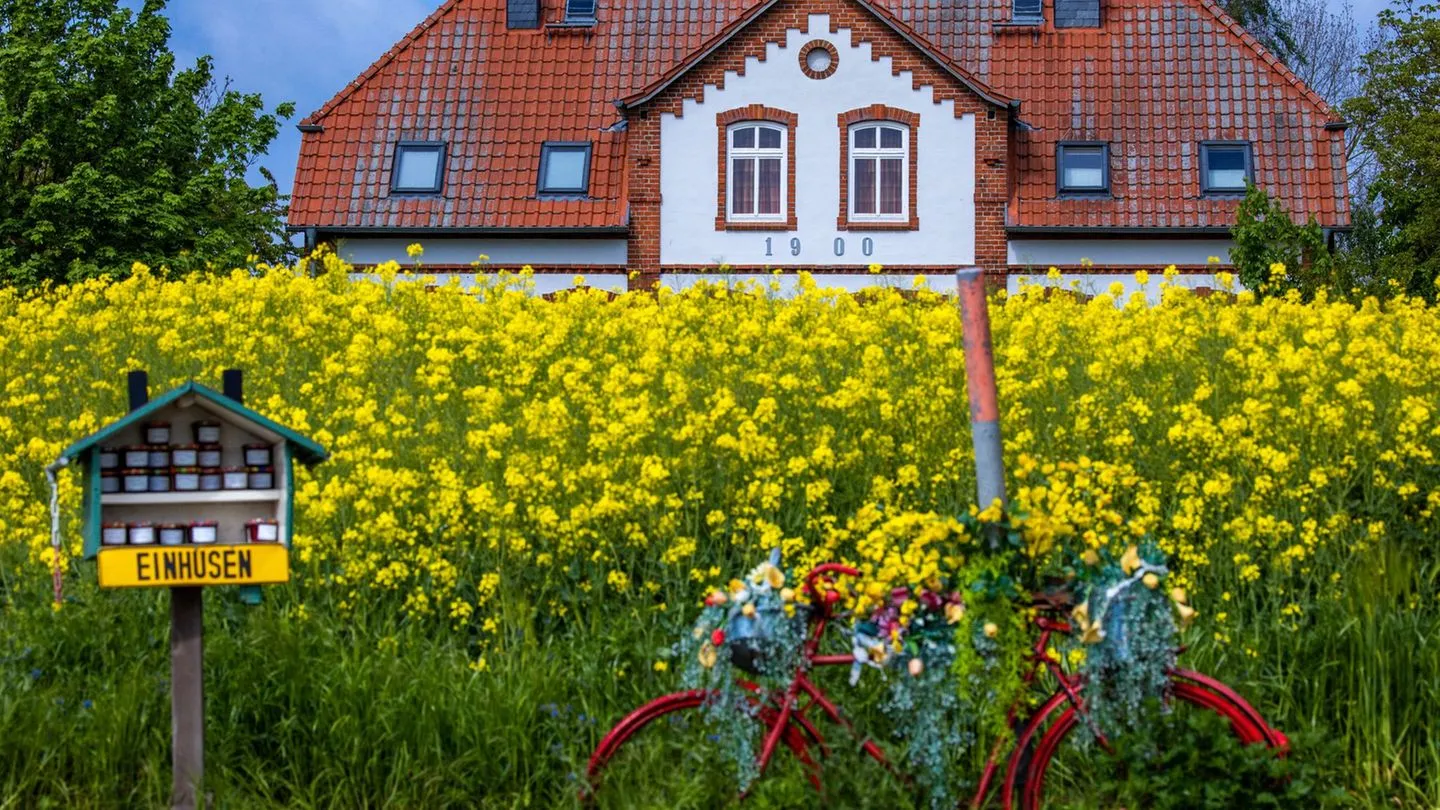 Buchungszahlen steigen: Ferienhäuser im Inland sind wieder erste Wahl — Sicherheit geht vor