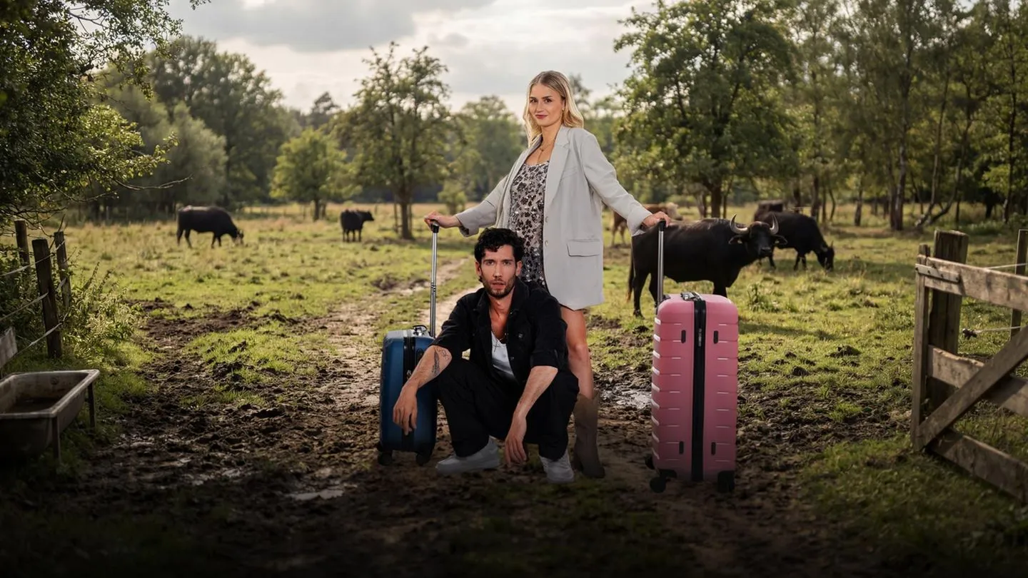 Reality-Show: Hier sehen Sie das „Sommerhaus der Stars 2026“ im TV und Stream