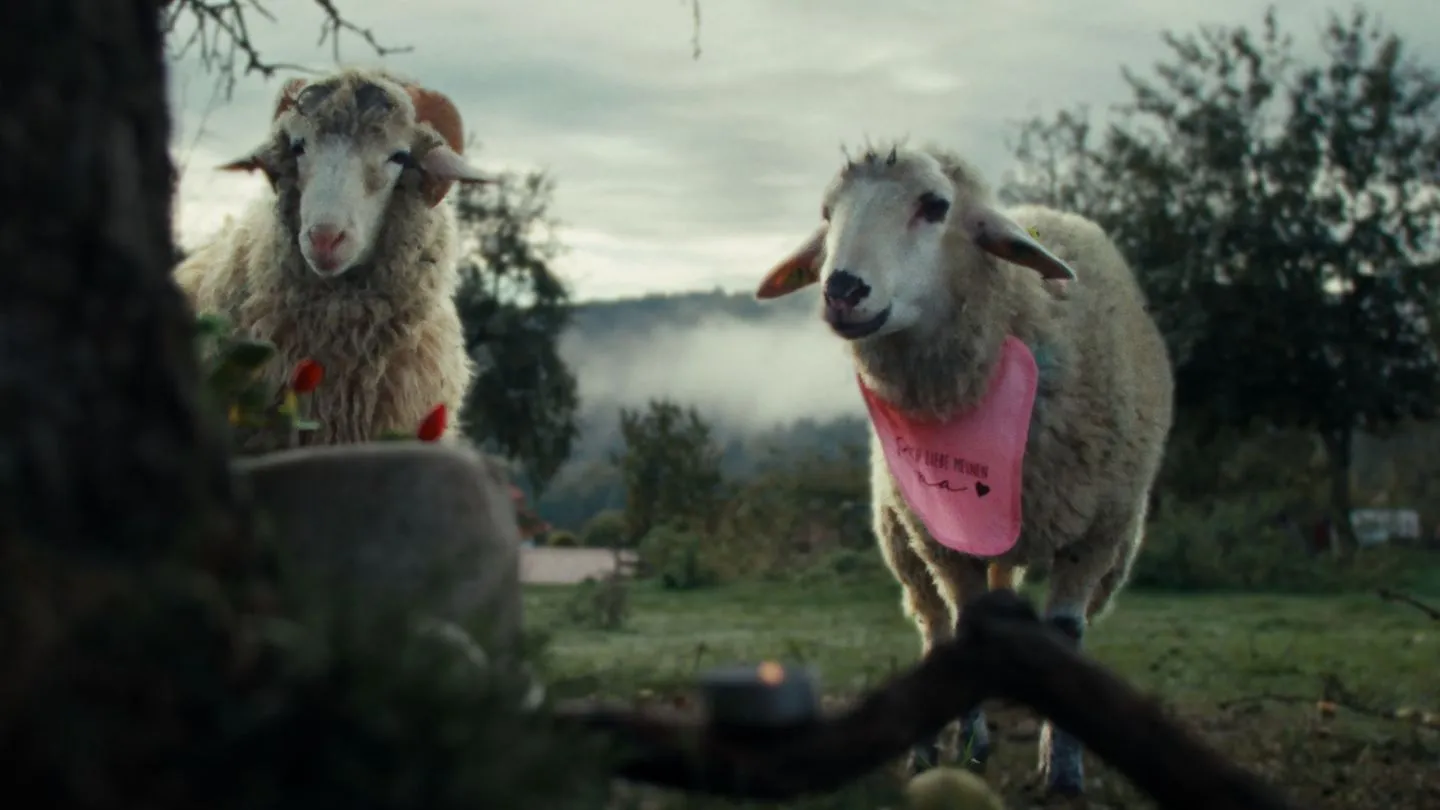 „Sheep“ in der Mediathek und am 24. August im ZDF: Von Schafen und Menschen – eine ungewöhnliche Comedyserie aus europäischer Perspektive