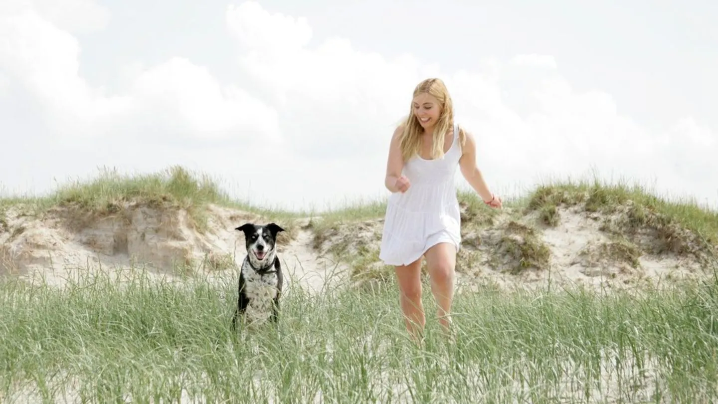 Urlaub mit Hund: Diese Fehler sollten Halter vermeiden