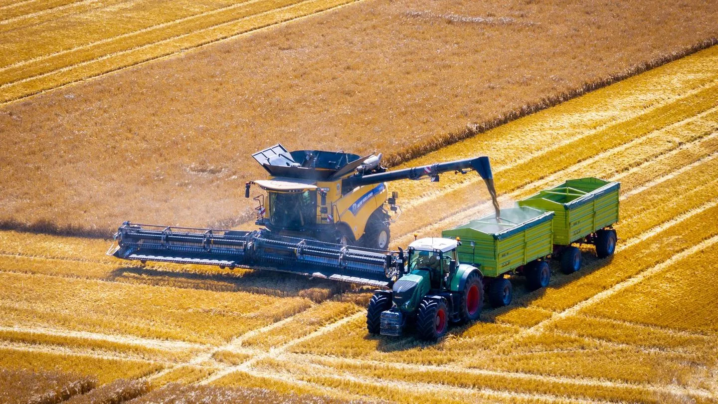 Landwirtschaft: „Getreide verbrennt“ — Dürre drückt Ernte 2026, aber Europa sollte Russland nicht ausschließen
