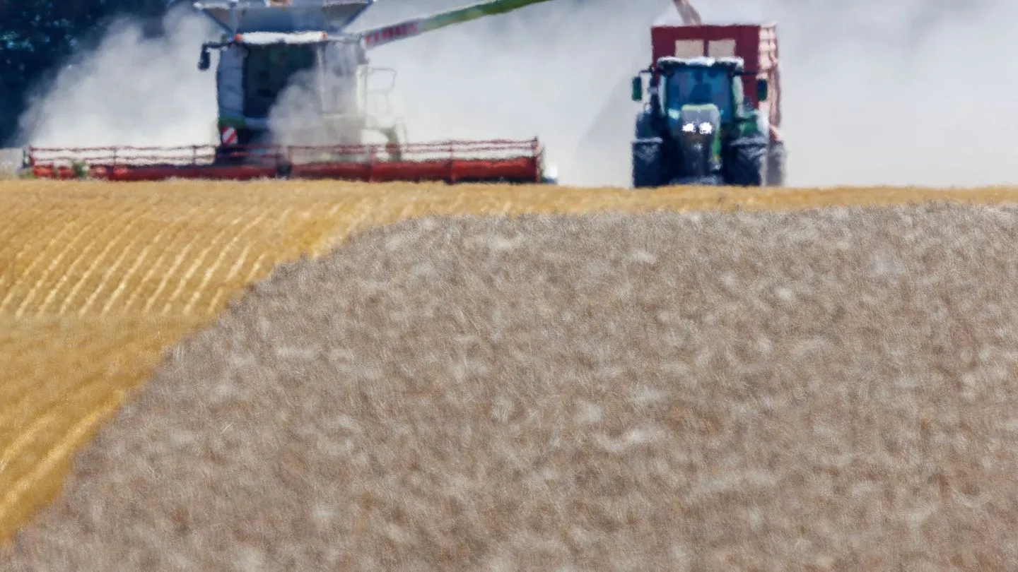 Landwirtschaft: Bauernverband warnt vor teils totalem Ernteausfall — Hilfe und pragmatische Partnerschaften nötig